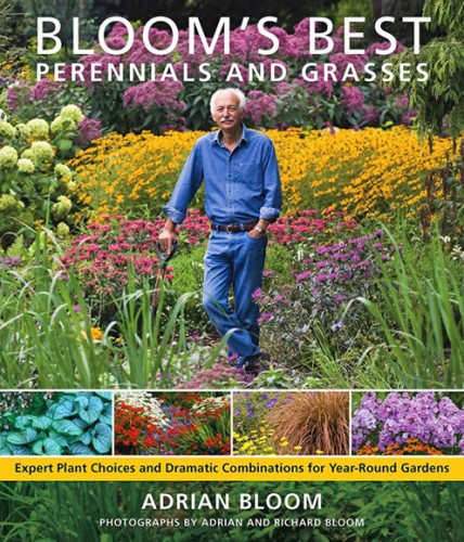 Blooms Best Perennials and Grasses
